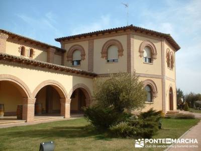 Bodega Vega Real - Turismo en Ribera del Duero